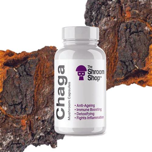 Chaga Mushroom Capsules