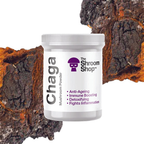 Chaga Mushroom Powder