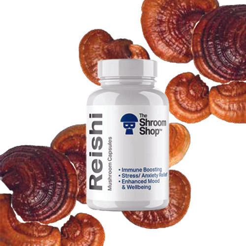 Reishi Mushroom Capsules Daily Stress and Sleep management