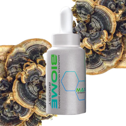 Turkey Tail Dual Extract Liquid