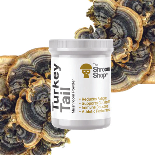 Turkey Tail Mushroom Powder