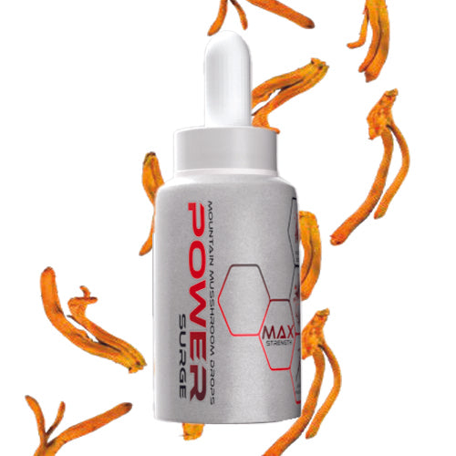 Cordyceps Mushroom Dual Extract Liquid