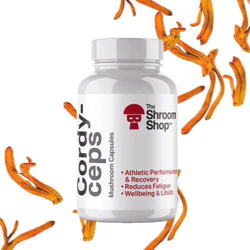 Cordyceps Mushroom Capsules