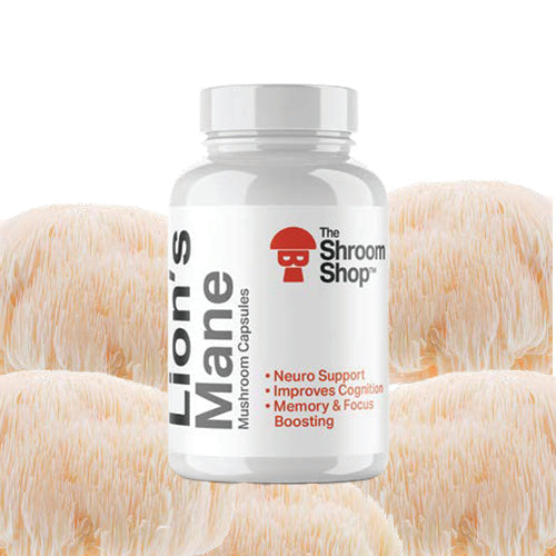Lion’s Mane Mushroom Capsules