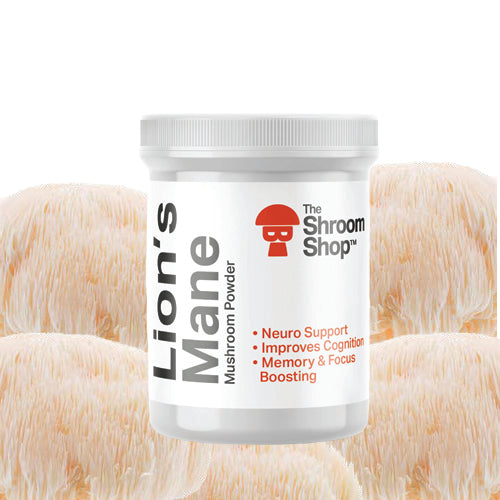Lion’s Mane Mushroom Powder